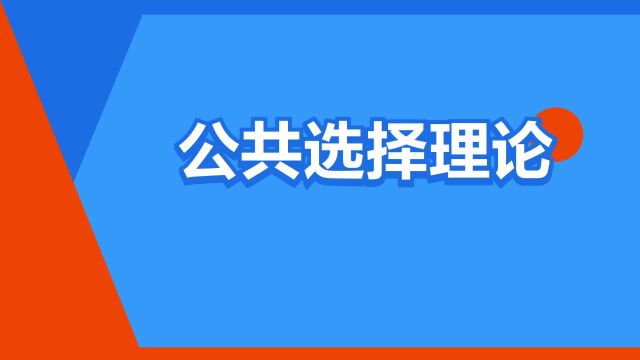 “公共选择理论”是什么意思?