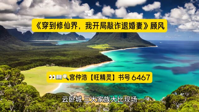 《穿到修仙界,我开局敲诈退婚妻》顾风全文TXT阅读◇完整版