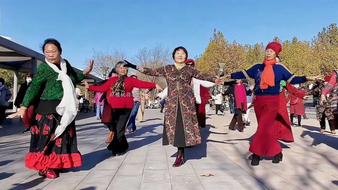 老有所乐,感受舞蹈的魅力,公园里大爷大妈们跳起了柔美的广场舞