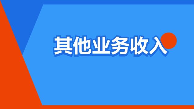 “其他业务收入”是什么意思?