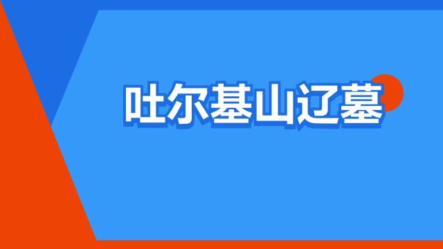 “吐尔基山辽墓”是什么意思?