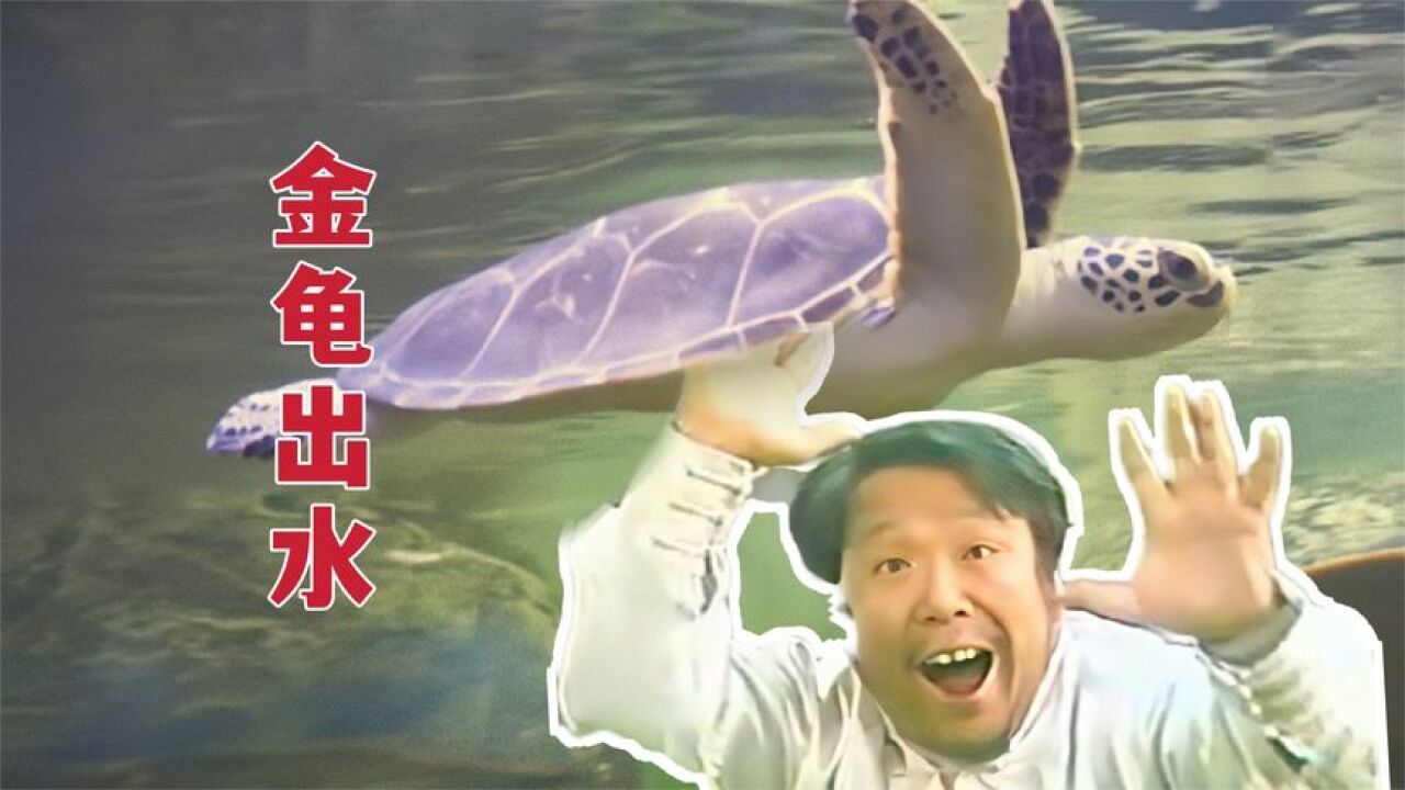 意拳高手王选杰的金龟出水多厉害?_腾讯视频