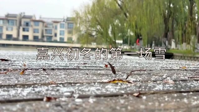 嘉兴初雪,美!