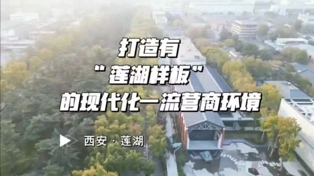 打造有“莲湖样板”的现代化一流营商环境