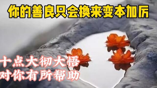 你再怎么老实,顾全大局 百般忍让,也不是什么人的心 都能捂热的