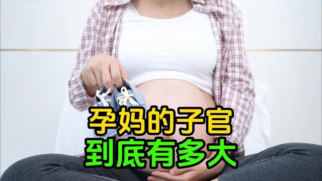 孕妈的子官到底有多大