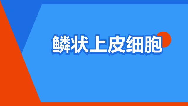 “鳞状上皮细胞”是什么意思?