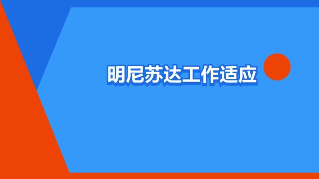 “明尼苏达工作适应理论”是什么意思?