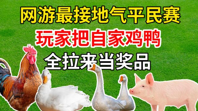 网游最接地气平民赛,玩家为应景把土鸡、家猪、野鸭全拉来当奖品了