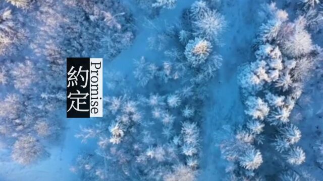 来一场赏雪的约定