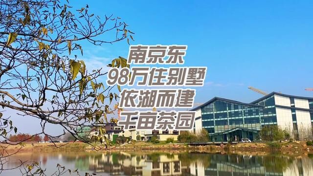 南京东98万住别墅,依湖而建,准现房!#实地拍摄 #别墅 #爱因看房