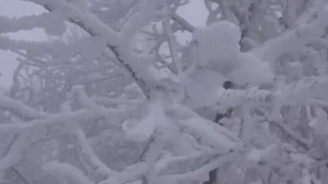 江西:部分海拔较高地区出现雨雪冰冻