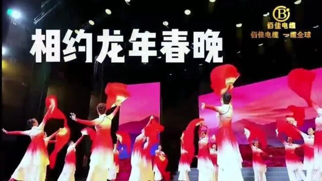 “佰佳争艳”2024年湛江中老年春晚节目如何选拔