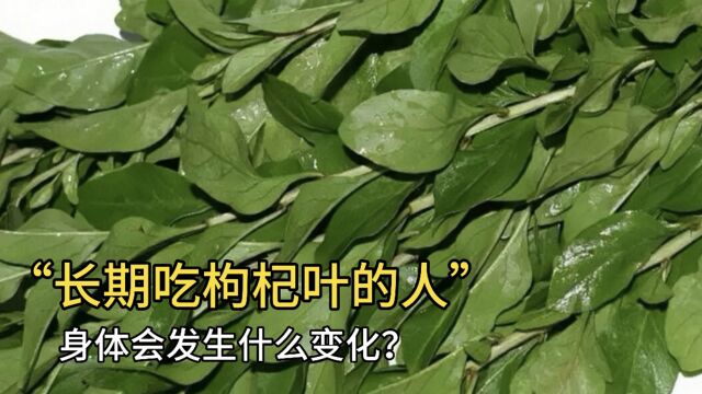 长期吃枸杞叶的人,身体会发生什么变化?医生终于说出答案!