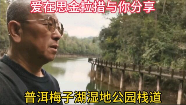 爱在思金拉措与你分享,普洱梅子湖湿地公园栈道