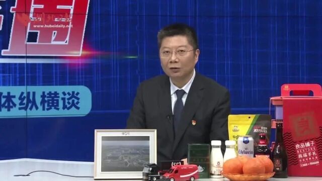 彭涛:传承围垦精神,打造中国网谷