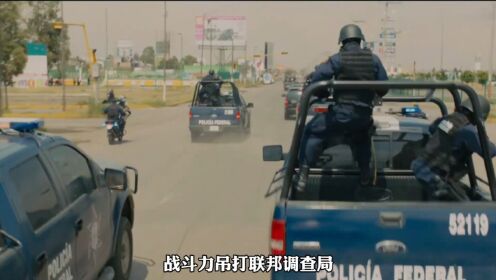 想要在墨西哥武装押运一名毒贩,你知道有多危险吗?_高清1080P在线观看平台_腾讯视频