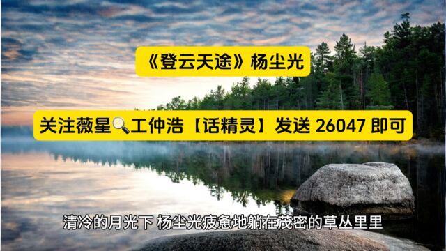 《登云天途》杨尘光热门火书全文TXT阅读◇无弹窗版