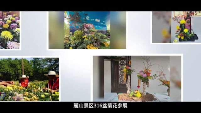 第十七届岳麓山红枫节“麓枫奖”颁奖盛典暨岳麓山品牌联盟启动式昨日举行