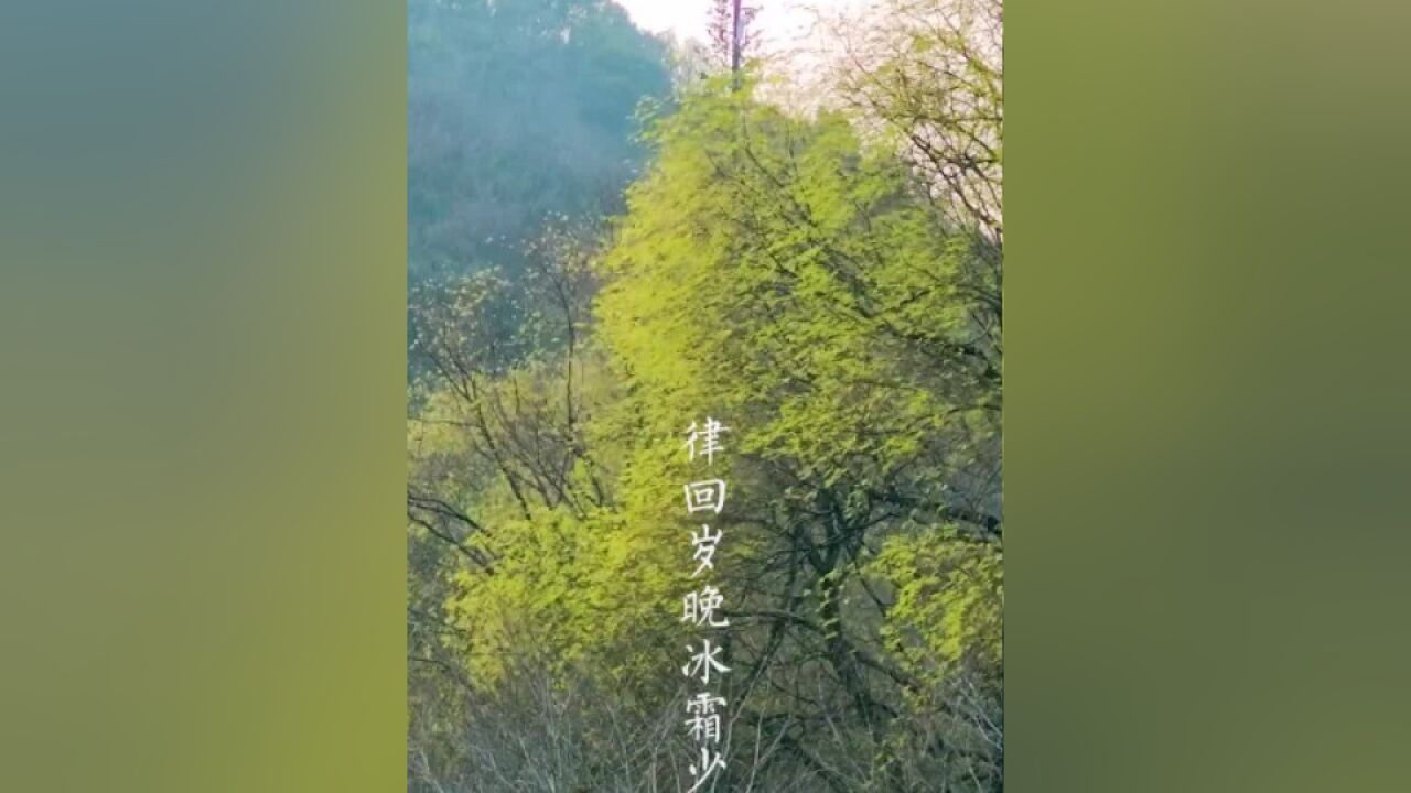 《立春偶成》是最具立春氣息的一首