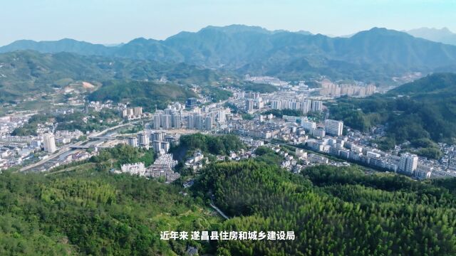 遂昌县住房和城乡建设局:贯彻“两山”理念高效推进农村生活污水治理和浙派民居建设