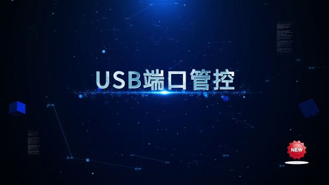 华企盾DSC数据防泄密系统:USB端口管控