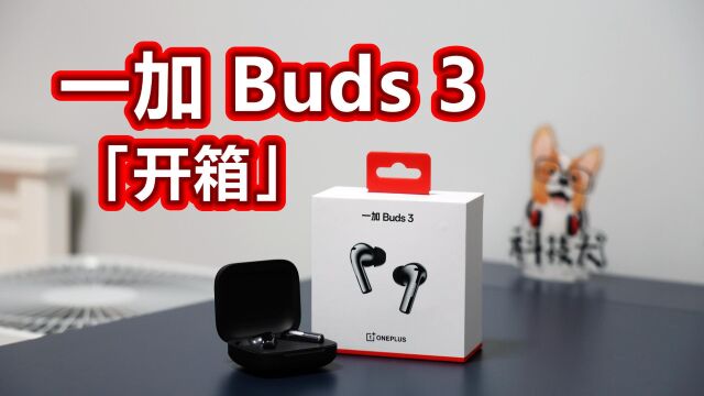 科技犬|一加 Buds 3「开箱」:普及旗舰音质 一加用户首选