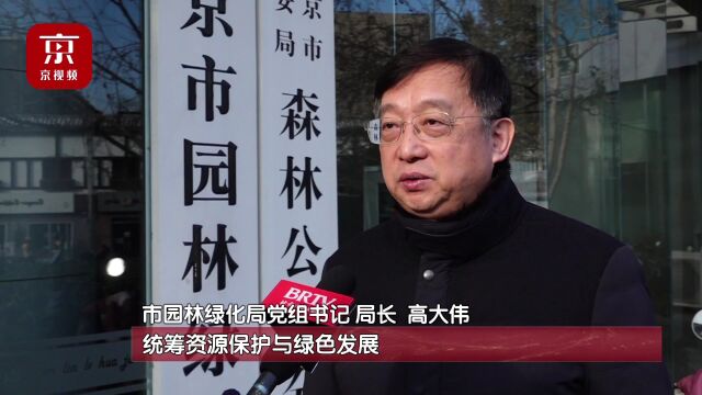 十年间北京新添219万亩平原森林 迈向花园城市建设之路