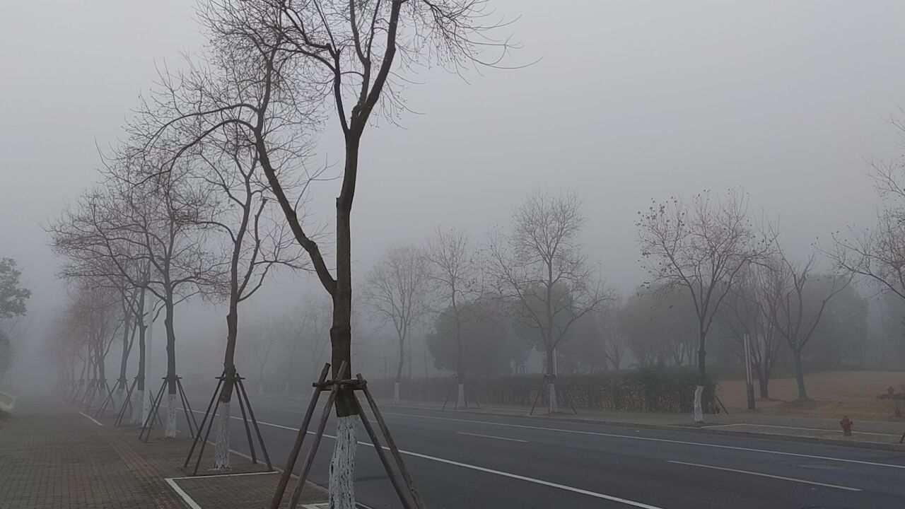 元旦假期首日多地被大雾笼罩:能见度极低伸手不见五指 城市在雾中如