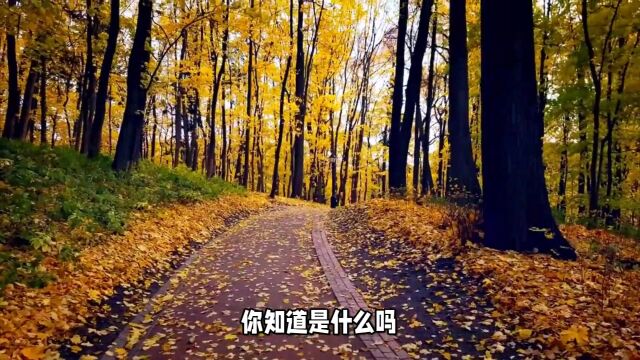 秋季养阴四大方法