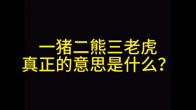 不废话动物科普 一猪二熊三老虎是什么意思?野猪杀死过老虎吗