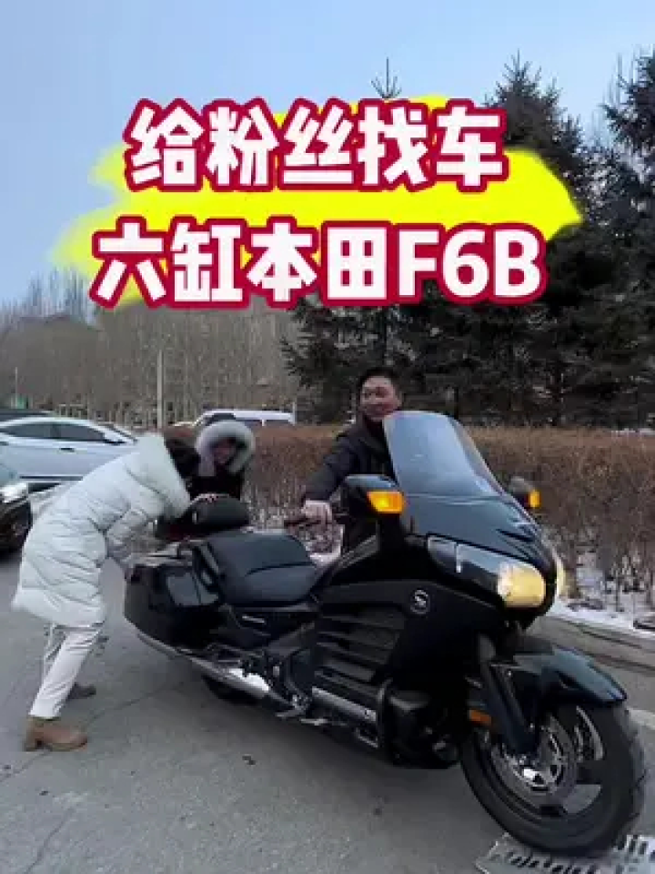 本田f6b #本田金翼#南方小土豆