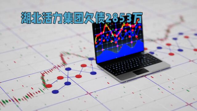 湖北活力集团欠债2853万