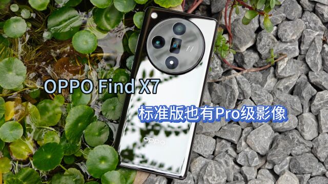 OPPO Find X7评测:旗舰标准版也有Pro级影像