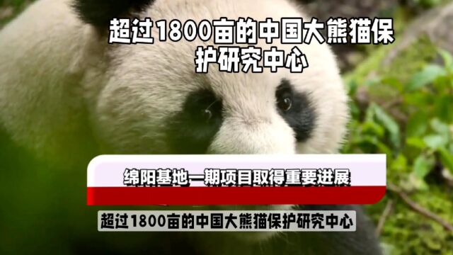 超过1800亩的中国大熊猫保护中心,绵阳基地一期项目取得重要进展