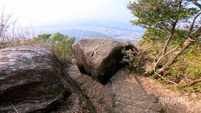 深圳唯一一个绝壁栈道免费攻略#行走山水间 #小众景点 #一线天 #悬崖峭壁上的风景 #山顶风景 #栈道 #悬崖峭