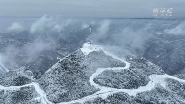 玉树琼枝贵州大沙河雪景如画