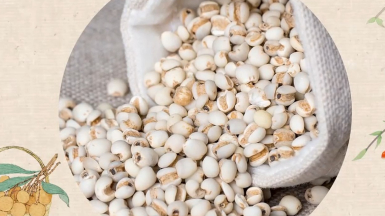 舌尖上的养生,除湿抗癌薏苡仁,辨证巧用薏苡仁