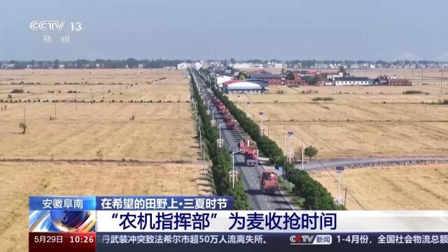 "车轮大战""农机指挥部"当麦收季遇上主汛期 大家这样做