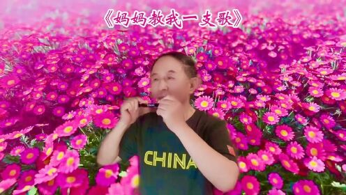 复音口琴曲《妈妈教我一支歌》