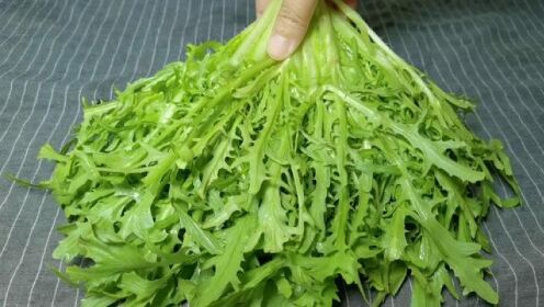 天热要多吃苦菊,做法简单家常营养美味,清脆爽口又解腻,真好吃 #苦菊