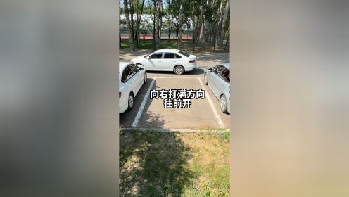 现实版倒车入库原来这么简单!还在考驾照的家人们祝您一把过!