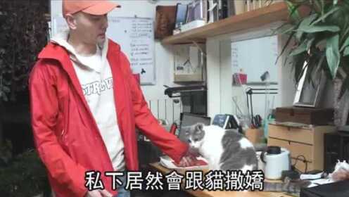 赵文瑄北京养6猫1狗 叹：人是最坏的