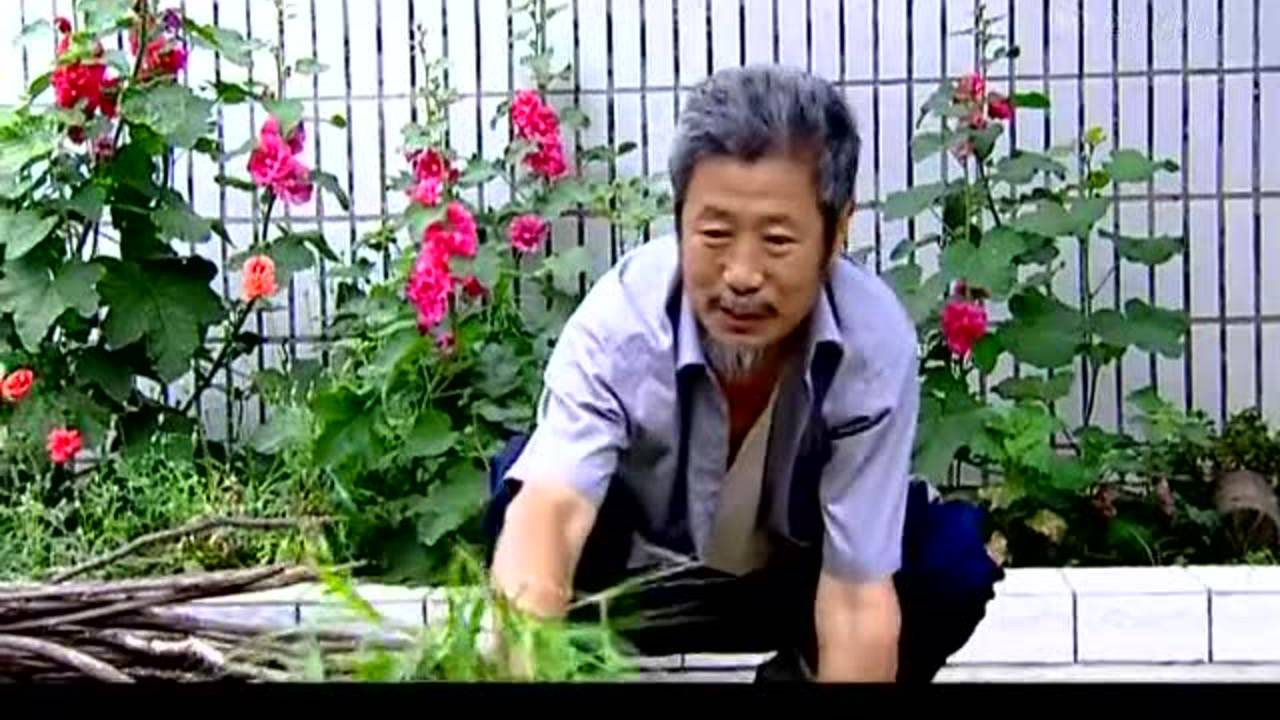 柳树屯 19集