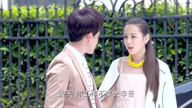 爱的阶梯 13集