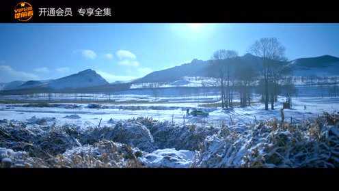 重生之名流巨星 15集