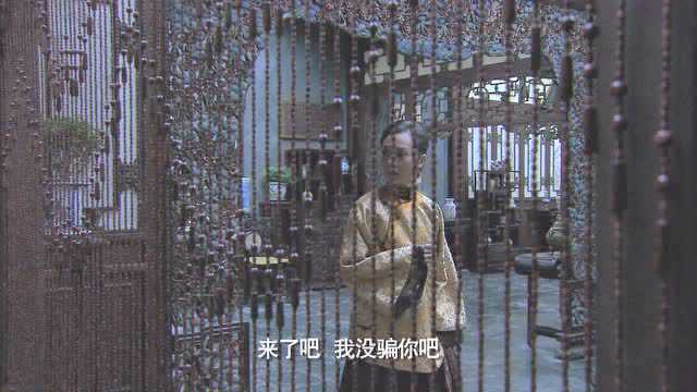 铁梨花 40集