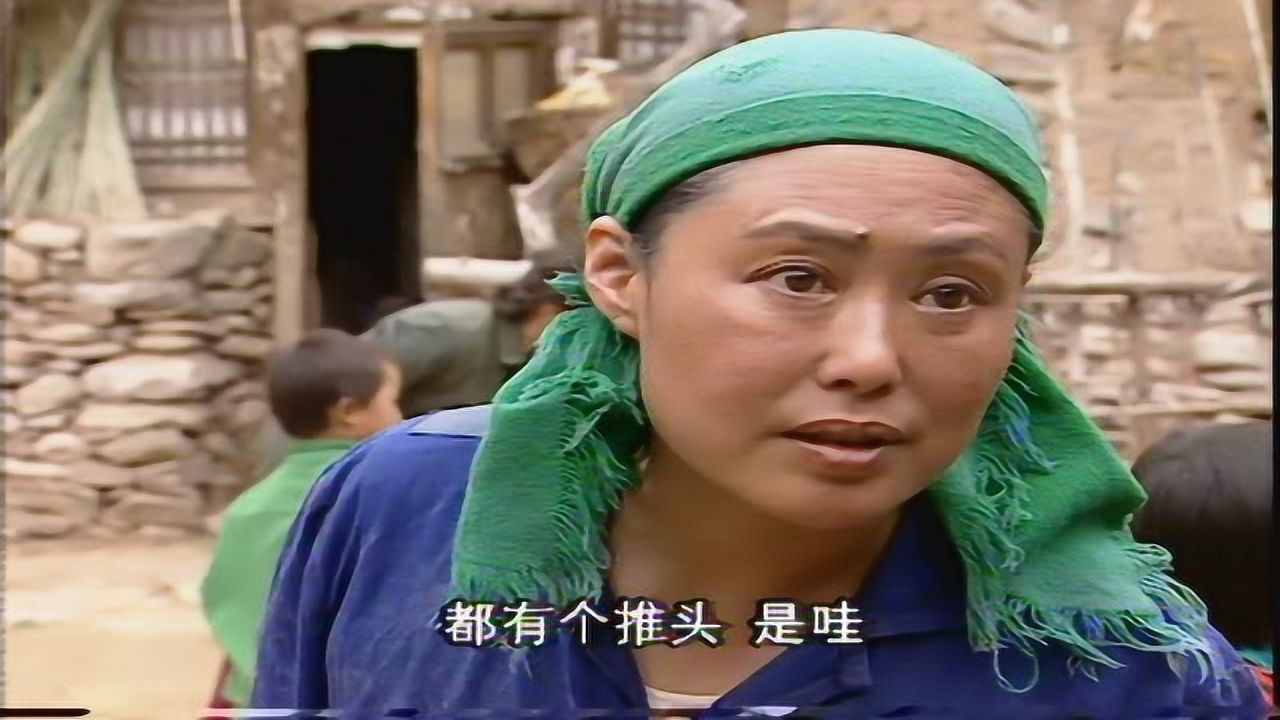 党员二愣妈 4集