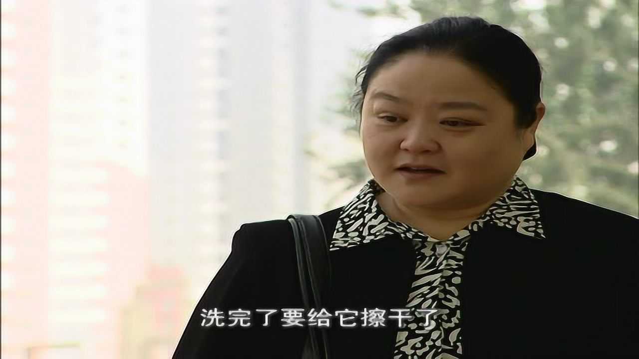 阳光职业介绍所 3集