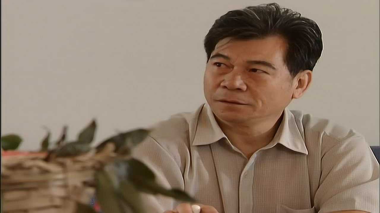 云淡天高 8集